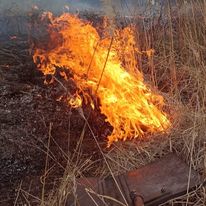O femeie și-a pierdut viața într-un incendiu de vegetație uscată
