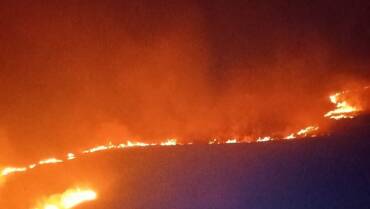 Aproape 100 de hectare de teren au fost afectate în urma incendiilor de vegetație uscată de astăzi