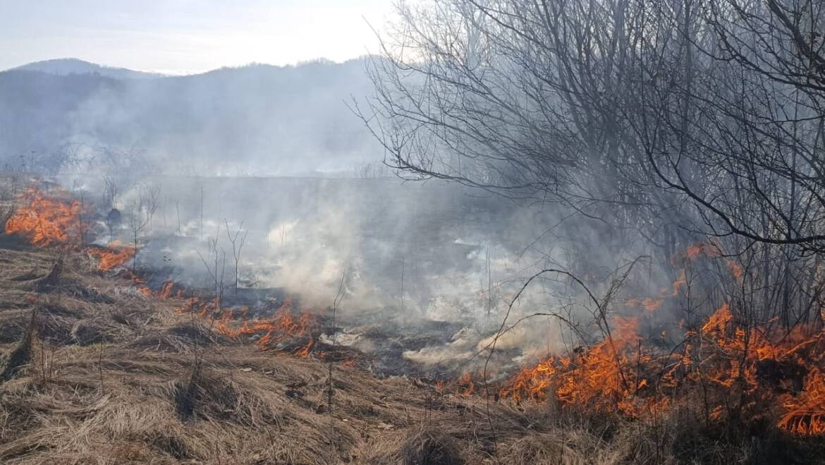 Numeroase incendii de vegetație uscată, în ultimele ore