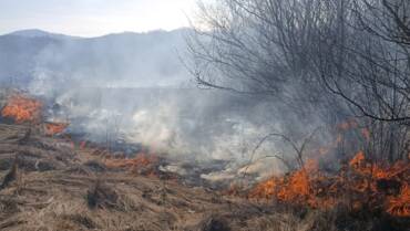 Numeroase incendii de vegetație uscată, în ultimele ore