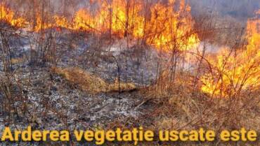 Controale pe linia incendiilor de vegetație uscată